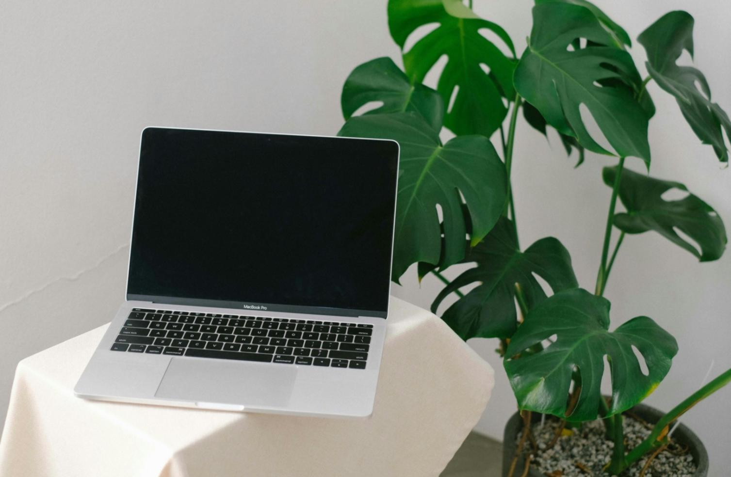 Студенты за работой над проектом